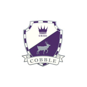 Cobblestone Pin