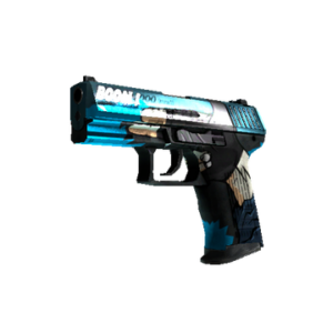 P2000 | Handgun (Well-Worn)