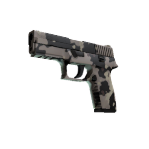 P250 | Black & Tan (Factory New)
