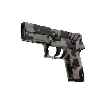 P250 | Black & Tan (Factory New)