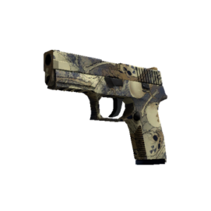 P250 | Contamination (Minimal Wear)