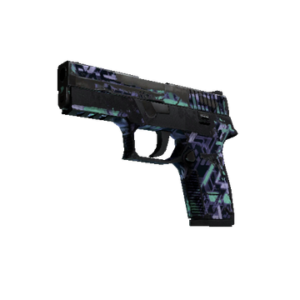 P250 | Digital Architect (Battle-Scarred)