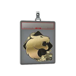 Sticker Slab | FURIA (Gold) | Rio 2022