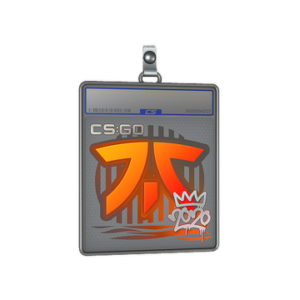 Sticker Slab | Fnatic | 2020 RMR