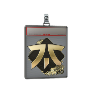 Sticker Slab | Fnatic (Gold) | Rio 2022