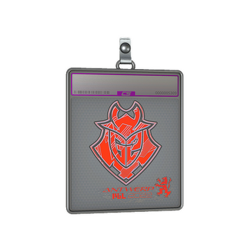 Sticker Slab | G2 Esports (Holo) | Antwerp 2022