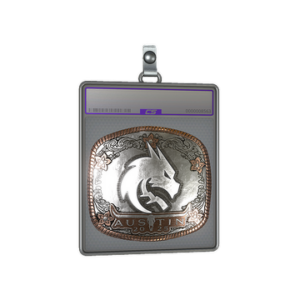 Sticker Slab | Team Spirit (Foil) | Austin 2025