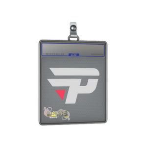 Sticker Slab | paiN Gaming | Paris 2023