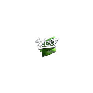 Sticker | seized (Foil) | Boston 2018
