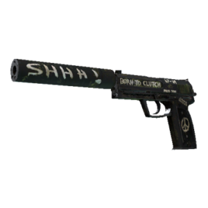 USP-S | Flashback (Battle-Scarred)