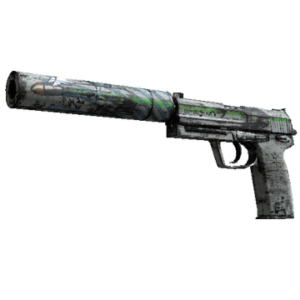 USP-S | Road Rash (Battle-Scarred)