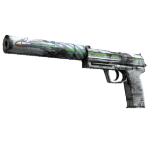 USP-S | Road Rash (Factory New)
