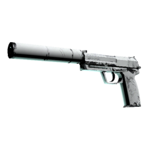 USP-S | Whiteout (Well-Worn)