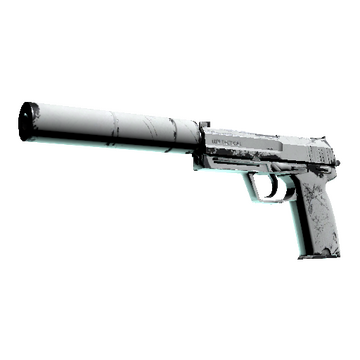 USP-S | Whiteout (Well-Worn)