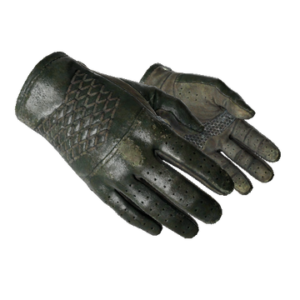 ★ Driver Gloves | Racing Green (Well-Worn)