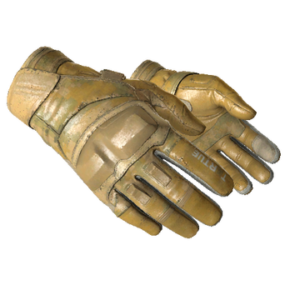 ★ Moto Gloves | Transport (Field-Tested)