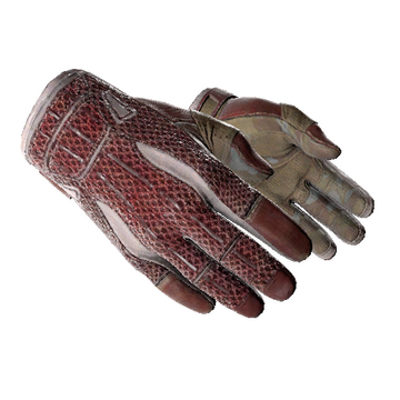 ★ Sport Gloves | Slingshot (Well-Worn)